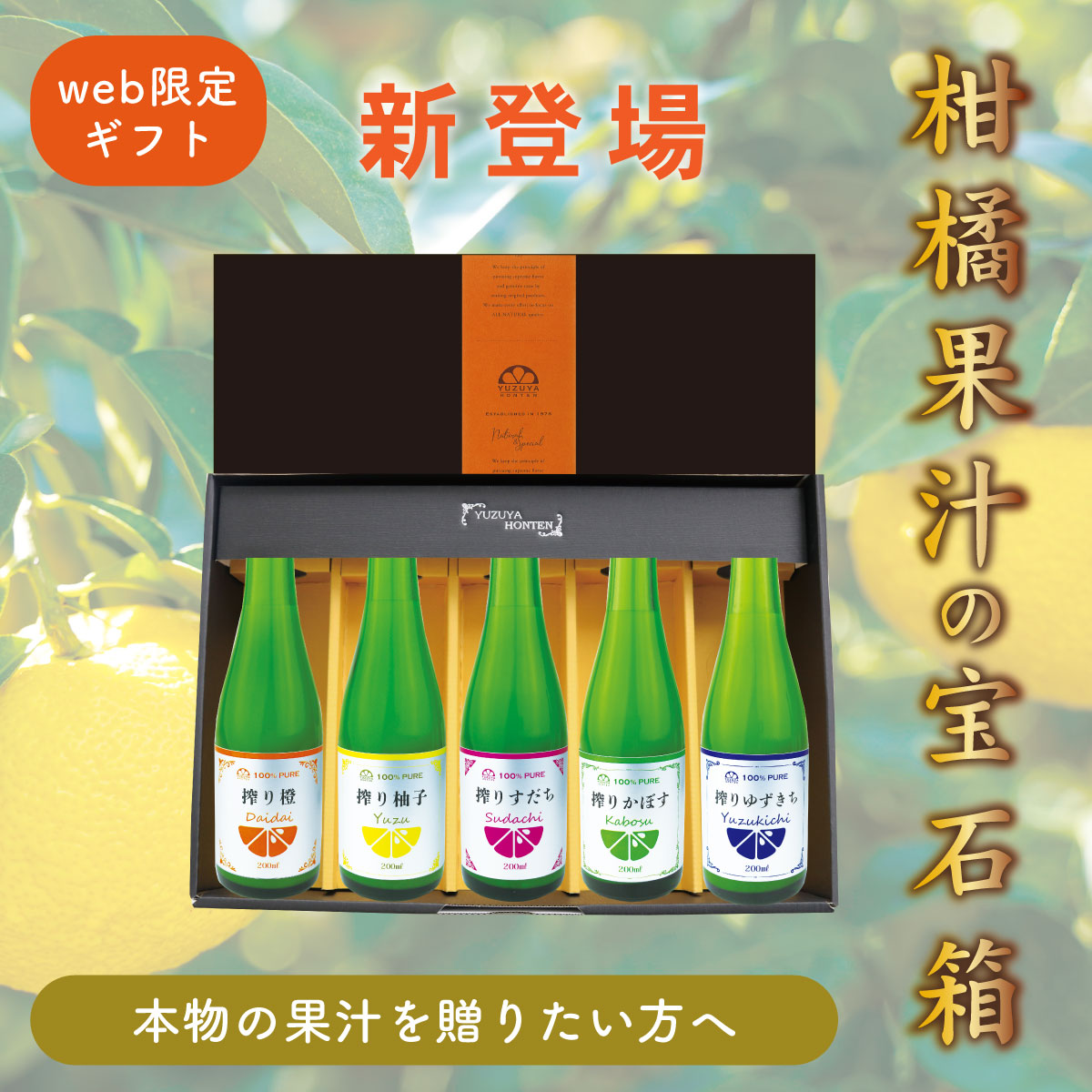 柑橘果汁の宝石箱
