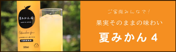 夏みかん４