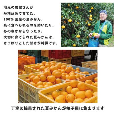 夏みかん 夏みかんゼリー贈答用箱入り（80g）5個入り×10箱[3252-p10] | 柚子屋