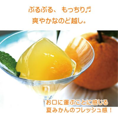 夏みかんゼリー贈答用箱入り（80g）15個セット[3283]|お歳暮,お中元,柚子ジュース,ゆずジュース,ギフト,ラッピング無料,人気,お取り寄せギフト