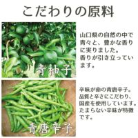 青唐辛子　10キロ　10kg 大量　柚子胡椒　南蛮　青胡椒 青唐辛子 10キロ 大量 業務用 柚子胡椒 南蛮