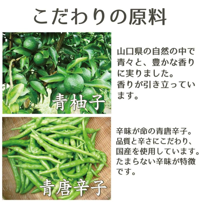 柚子胡椒（90g）単品|こだわりの原料で造った柚子胡椒。青柚子と青唐辛子。