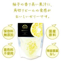 百光 7/21のみ柚美味しい様専用 飲料・酒