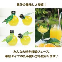 初回限定★はじめてさんのお味見チョイス８[9926]│初回限定,柑橘専門店がこだわった商品を8品選べるお試しセット