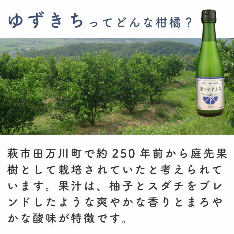 搾りゆずきち（ゆずきち果汁100％・200ml）6本,無添加,搾り果汁100%,焼酎,ウイスキー,割り材,オリジナルサワー