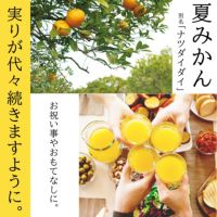 楽天市場】【送料無料】京都産 京なつみかん Lサイズ 約3kg（9個