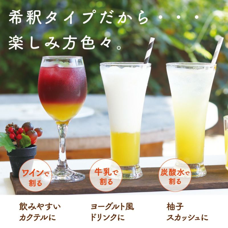 夏みかん４（500ml）6本 | 柚子屋本店ONLINE STORE