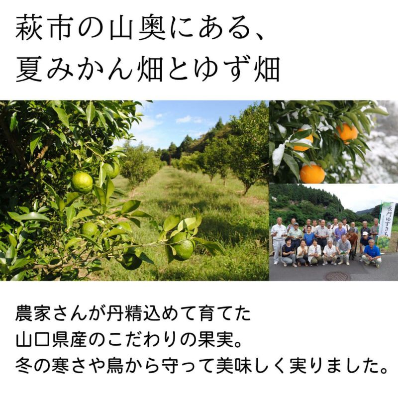 農家さんが丹精こめて育てた山口県産のこだわりの果実。冬の寒さや鳥から守って美味しく実りました。