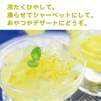 柚子ゼリー贈答用箱入（80g）5個入り×10箱[9162-p10]