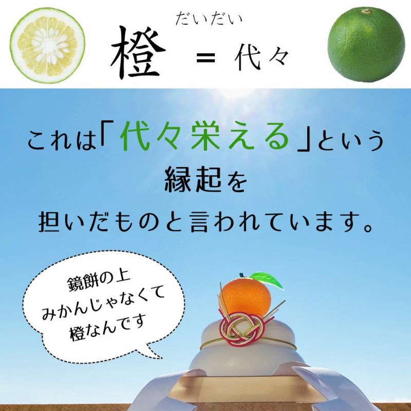 クリスマスギフト こだわりマーマレードセット|限定ラッピング,メッセージカード,プレゼント,お歳暮,冬ギフト,柚子マーマレード,だいだいマーマレード,夏みかんマーマレード