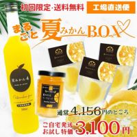 【初回限定】まるごと夏みかんBOX(夏みかん希釈ジュース他5点入)