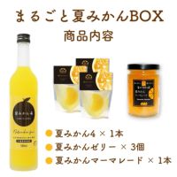 【初回限定】まるごと夏みかんBOX(夏みかん希釈ジュース他5点入)