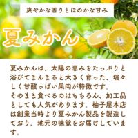 【初回限定】まるごと夏みかんBOX(夏みかん希釈ジュース他5点入)