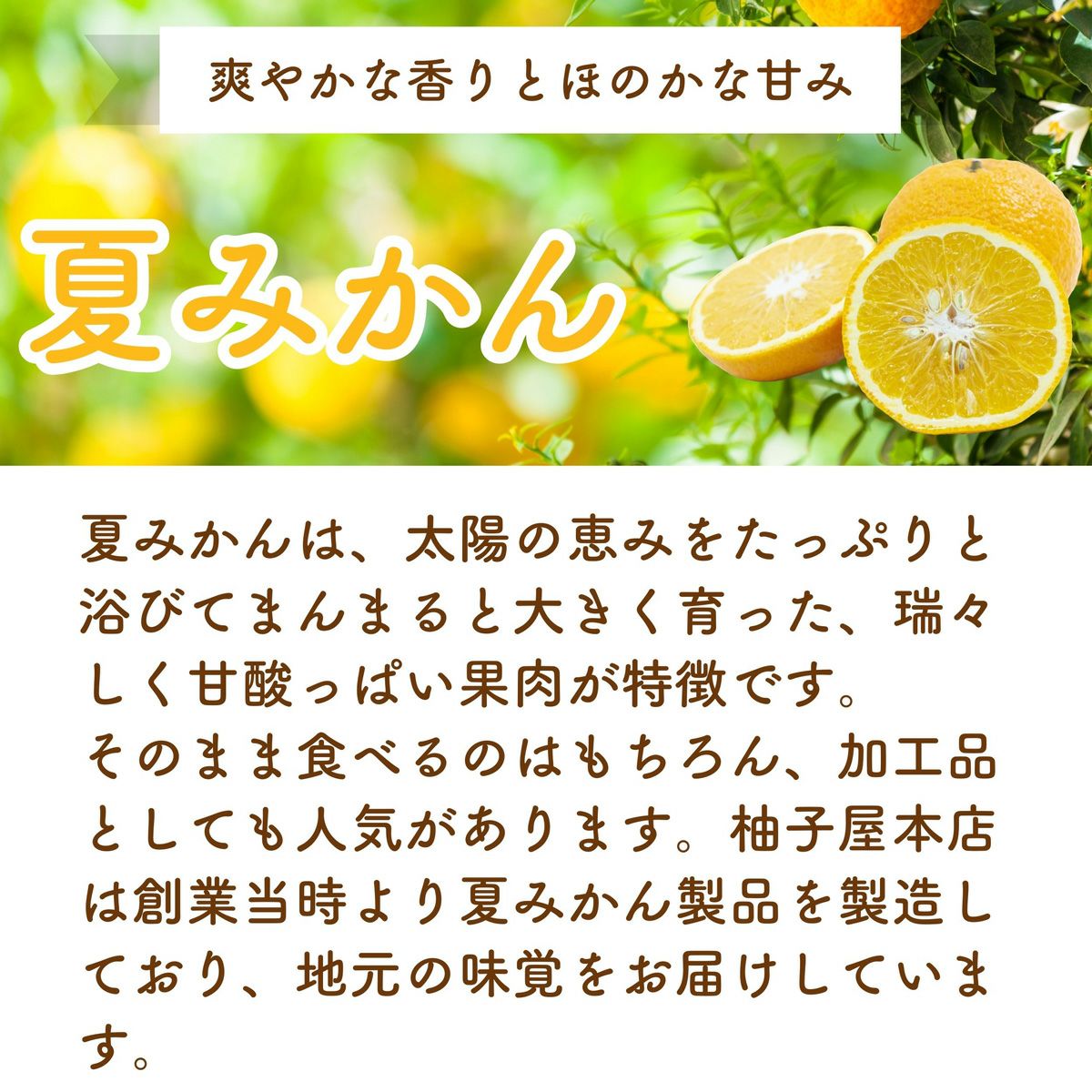 【初回限定】まるごと夏みかんBOX(夏みかん希釈ジュース他5点入)