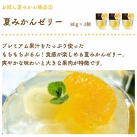 【初回限定】まるごと夏みかんBOX(夏みかん希釈ジュース他5点入)