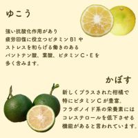 初回お試し◆柑橘習慣プラス（1.0Lパウチ）[送料無料]