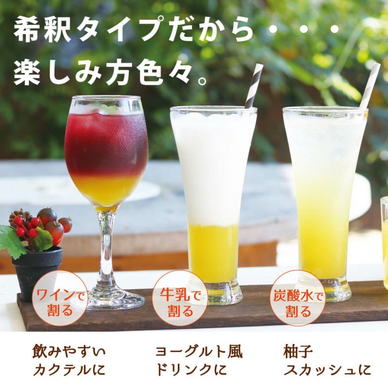 夏みかんとゆず6本ジュースセット(500ml×6本)[14371] | 柚子屋本店