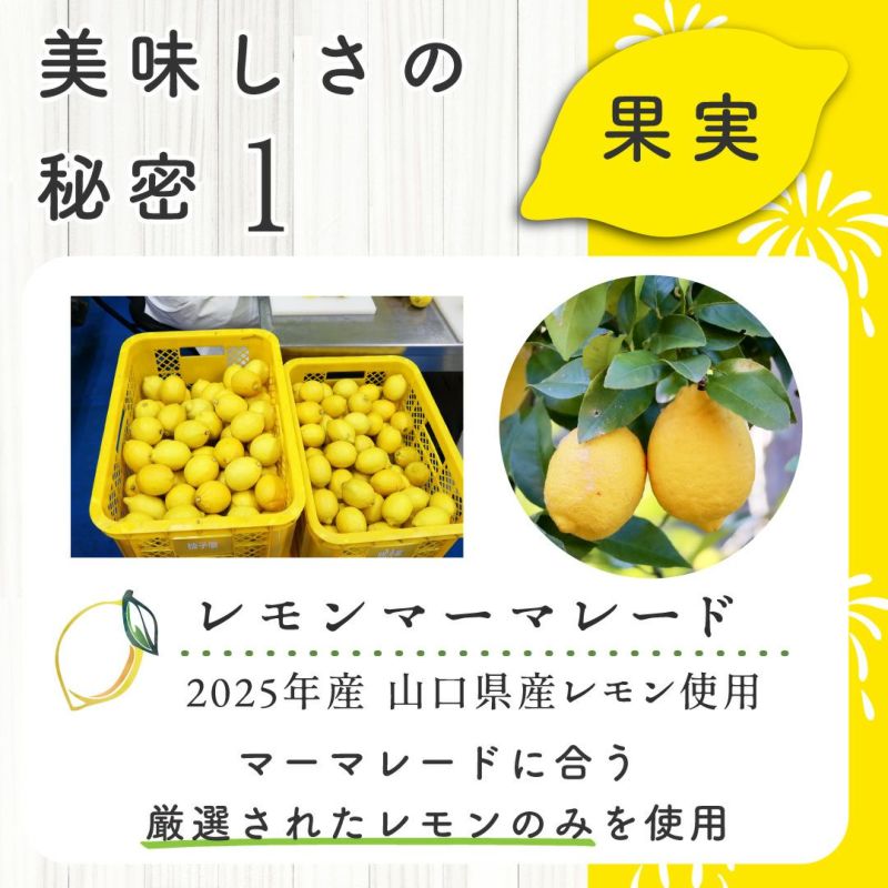 レモンマーマレード2025(160g)12本