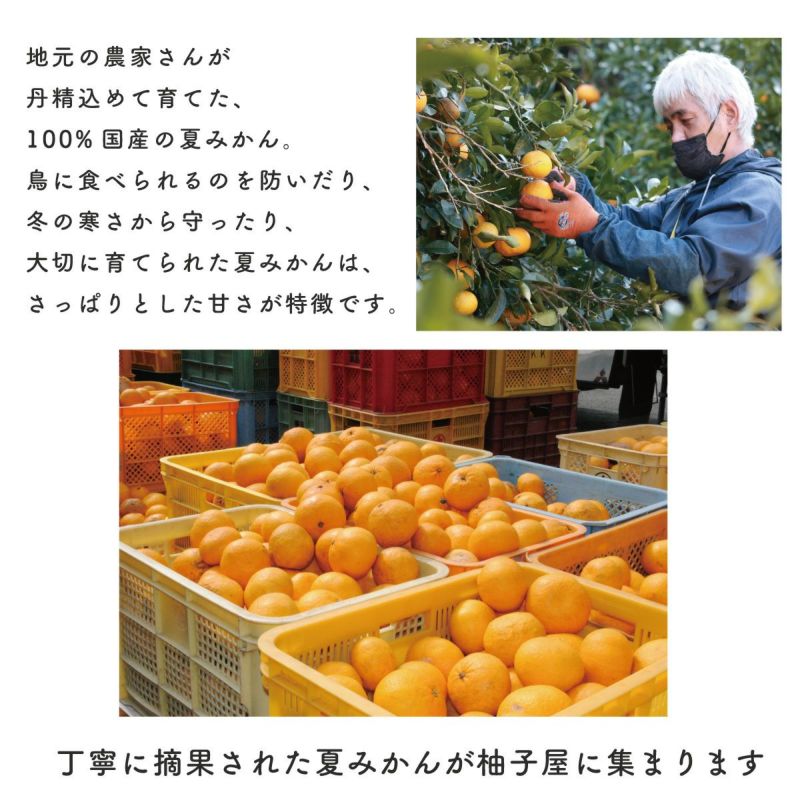 ☆シトラスガーデンギフトH-1[14449]|お歳暮,お中元,柑橘製品,ギフト,ラッピング無料,人気,お取り寄せギフト