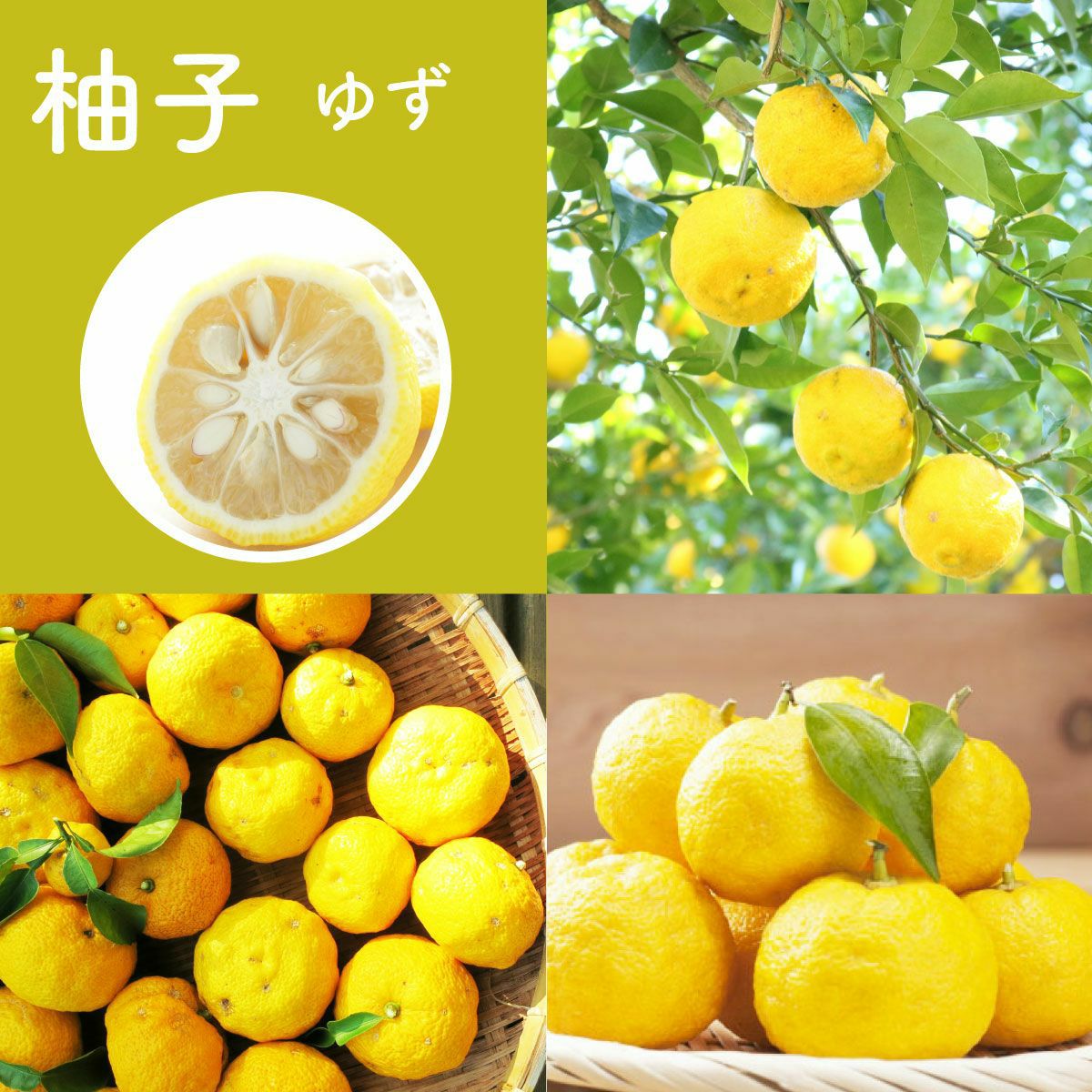 ゆず 旭フレッシュ ゆずどりんく（希少糖入り）】｜高知のゆず製品｜近沢