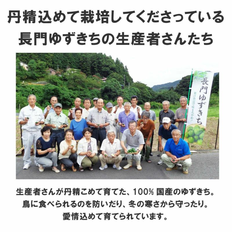 いろどりギフトD-8[5355]