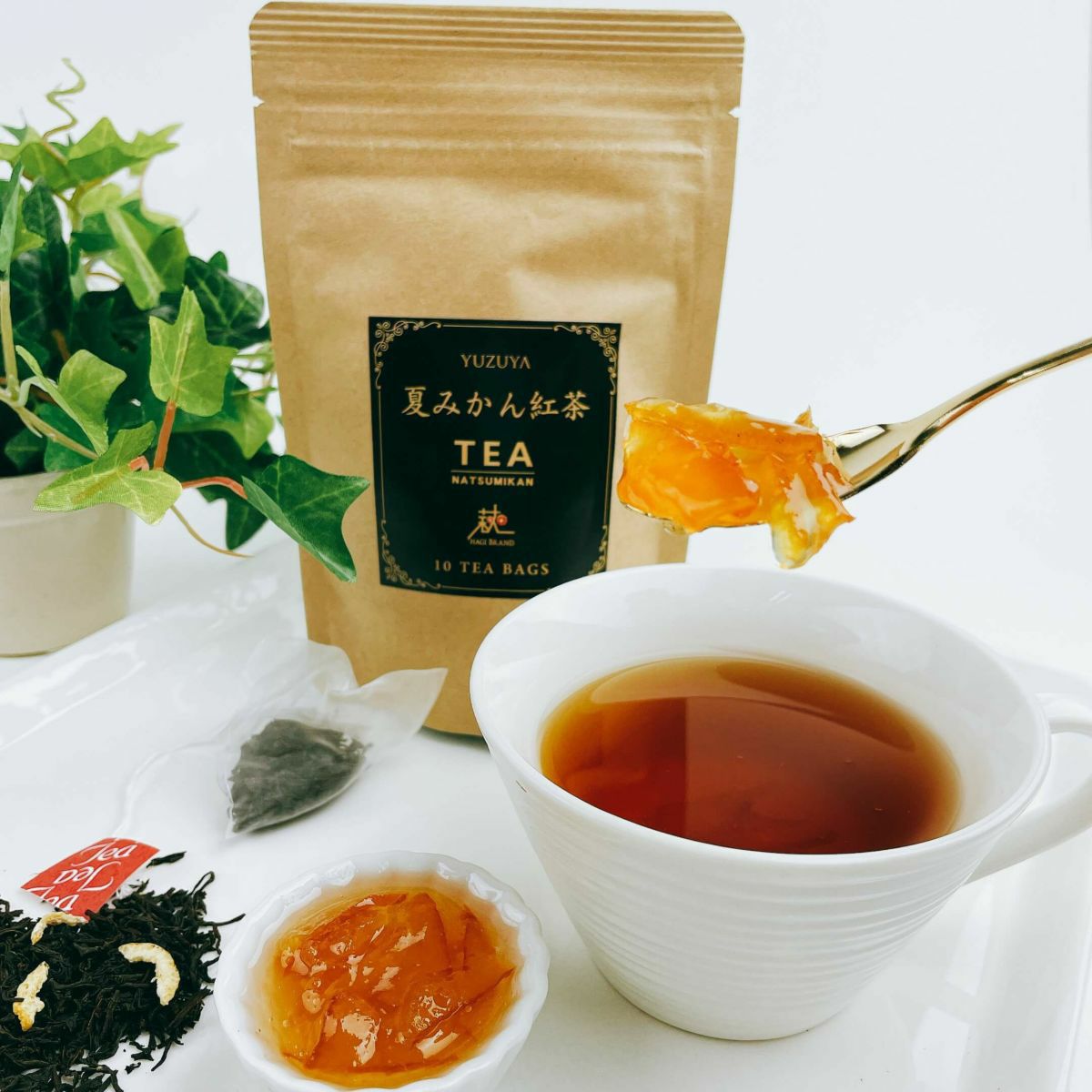 シトラスガーデンギフトK-2[5362]