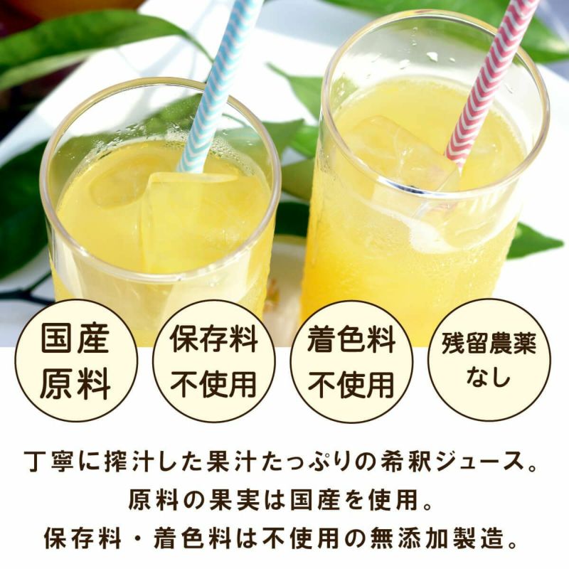 柚子＆ゆずきち12本ジュースセット(500ml×6本)[4808]