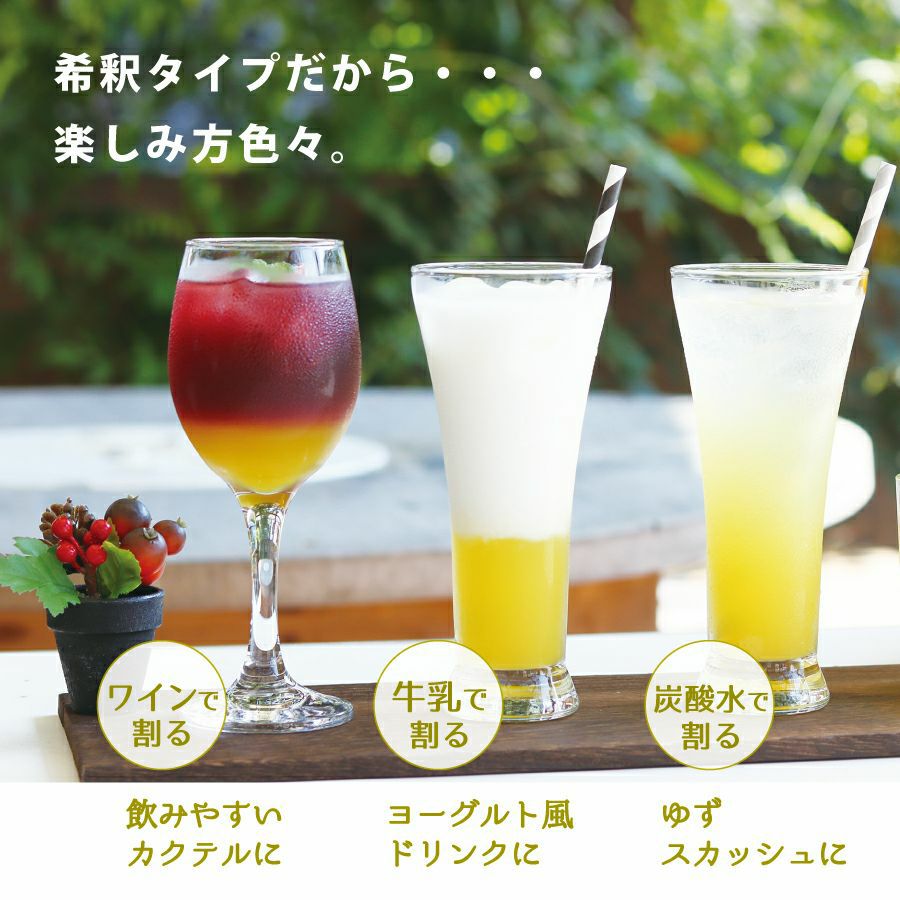 柚子＆ゆずきち12本ジュースセット(500ml×12本)[4808] | 柚子屋本店